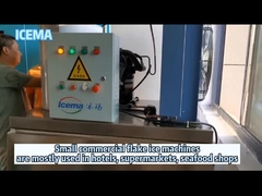 Planta de gelo pequena de água doce comercial do floco do fabricante de gelo do floco da máquina de gelo do floco para o uso do hotel