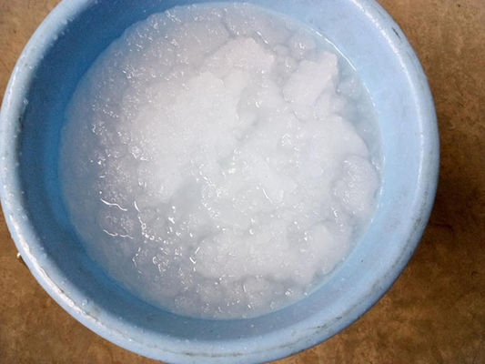 Máquina de fatura de gelo da máquina de gelo da pasta 3T/24H para o marisco