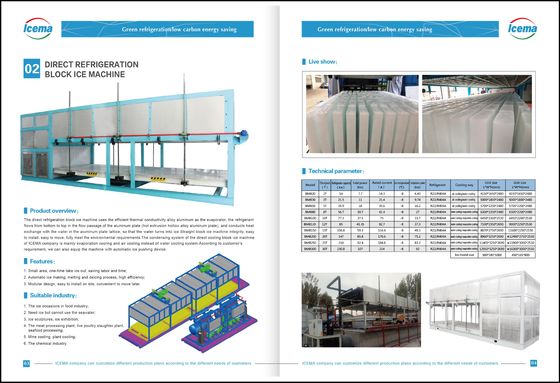 20 toneladas de máquina de fatura de tijolo refrigerando direta do gelo industrial