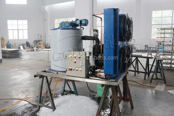 Máquina de gelo em flocos de água doce 30 toneladas 220V industrial automática