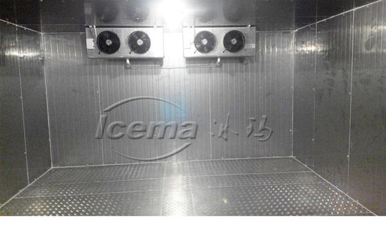 Quarto Frio de alta qualidade mantendo os alimentos frescos em ambientes industriais