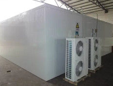 Sala fria de vegetais, freezer, unidades de armazenamento a frio para manter frutas frescas, transporte de peixe