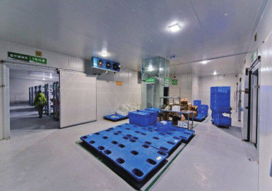 Sala fria de vegetais, freezer, unidades de armazenamento a frio para manter frutas frescas, transporte de peixe