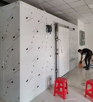 Preço comercial do frigorífico Container de 20 pés de comprimento em frigorífico para armazenagem de frutas frescas / vegetais / peixes / transporte