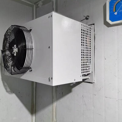 Bom preço Unidade de Condensação Evaporativa de Congelador Industrial de Sala Fria on-line