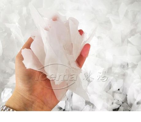 China 50 toneladas/dia máquina de gelo de flocos de neve em recipientes para refrigeração com preço de fábrica